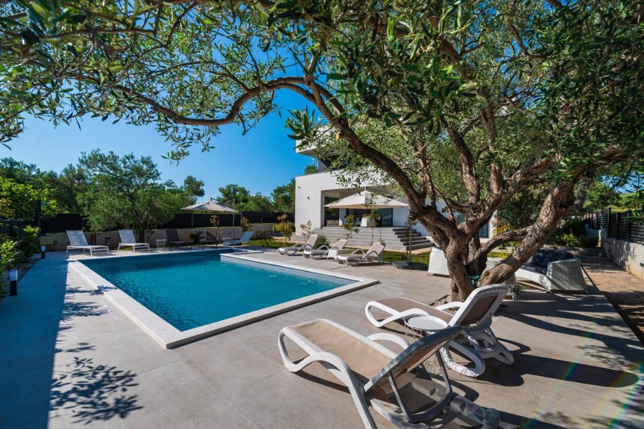 Crowonder Sun Dance Apartments With Heated Swimming Pool Seaview And Garden สเวติ ฟิลลิปปี ยาคอฟ ภายนอก รูปภาพ
